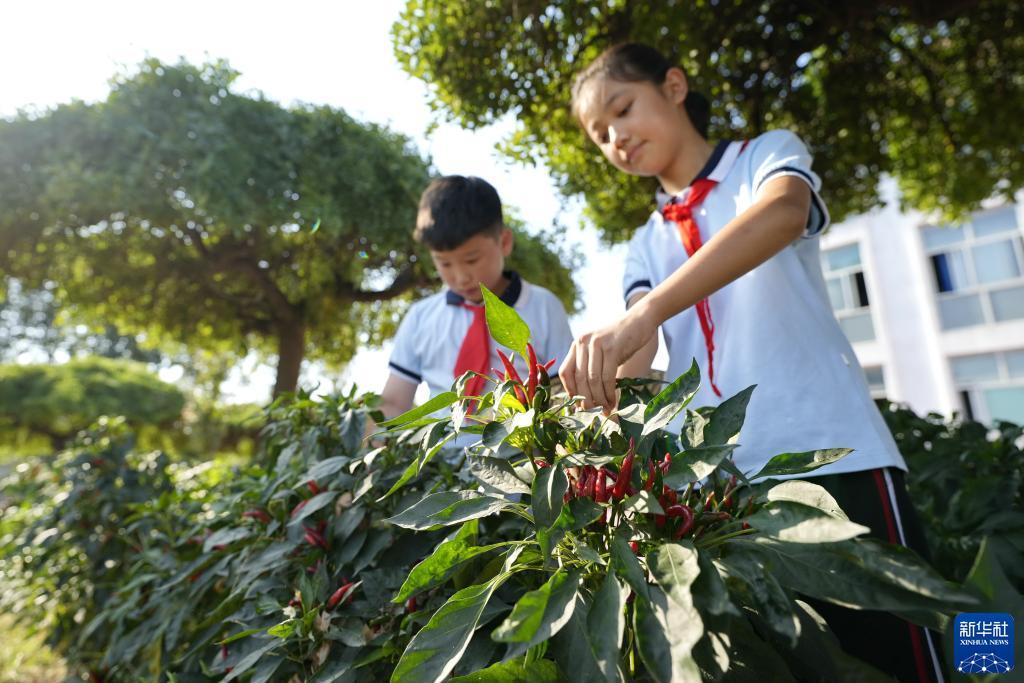 幸运双星连线下载官网